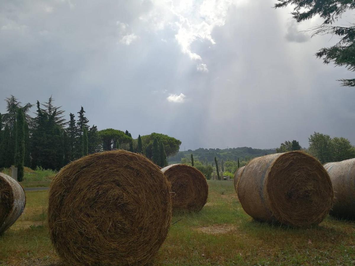 Masseria Le Querciole Fauglia Bagian luar foto