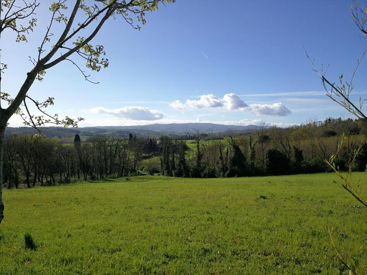 Masseria Le Querciole Fauglia Bagian luar foto