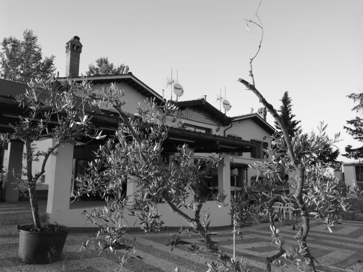 Masseria Le Querciole Fauglia Bagian luar foto