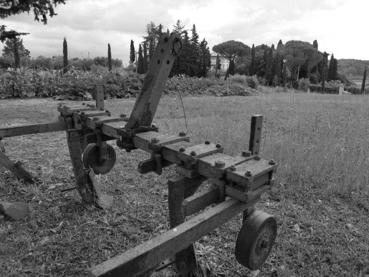 Masseria Le Querciole Fauglia Bagian luar foto