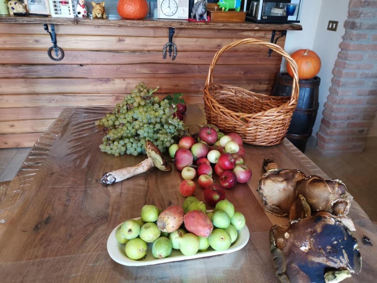 Masseria Le Querciole Fauglia Bagian luar foto